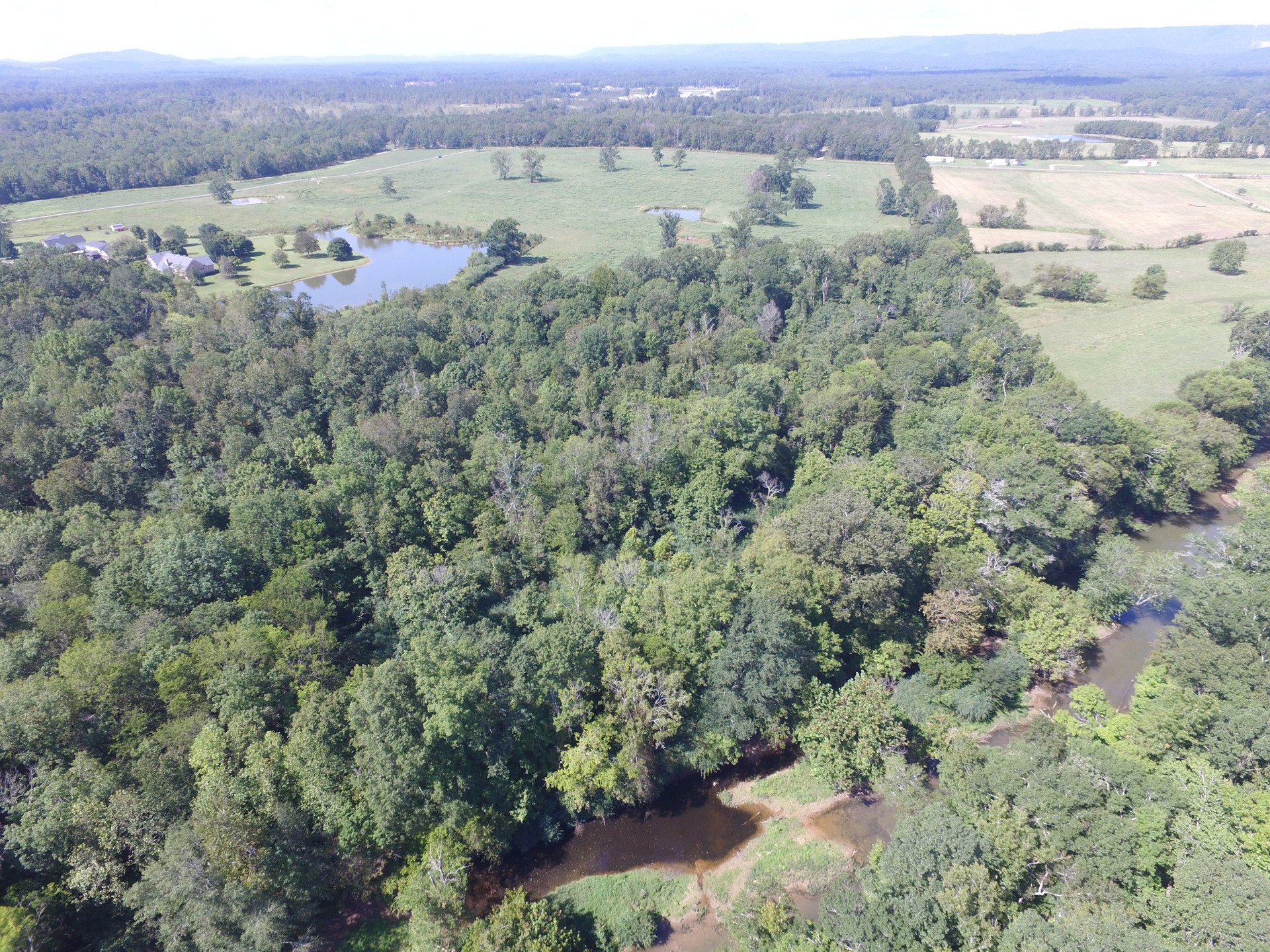35 Acre Farm on Canoe Creek with Pond - Alabama Land Agent