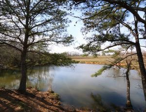 Alabama Pond & Lake Resources
