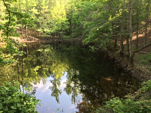 21+/- Acre Mountain Retreat & Pond - Alabama Land Agent