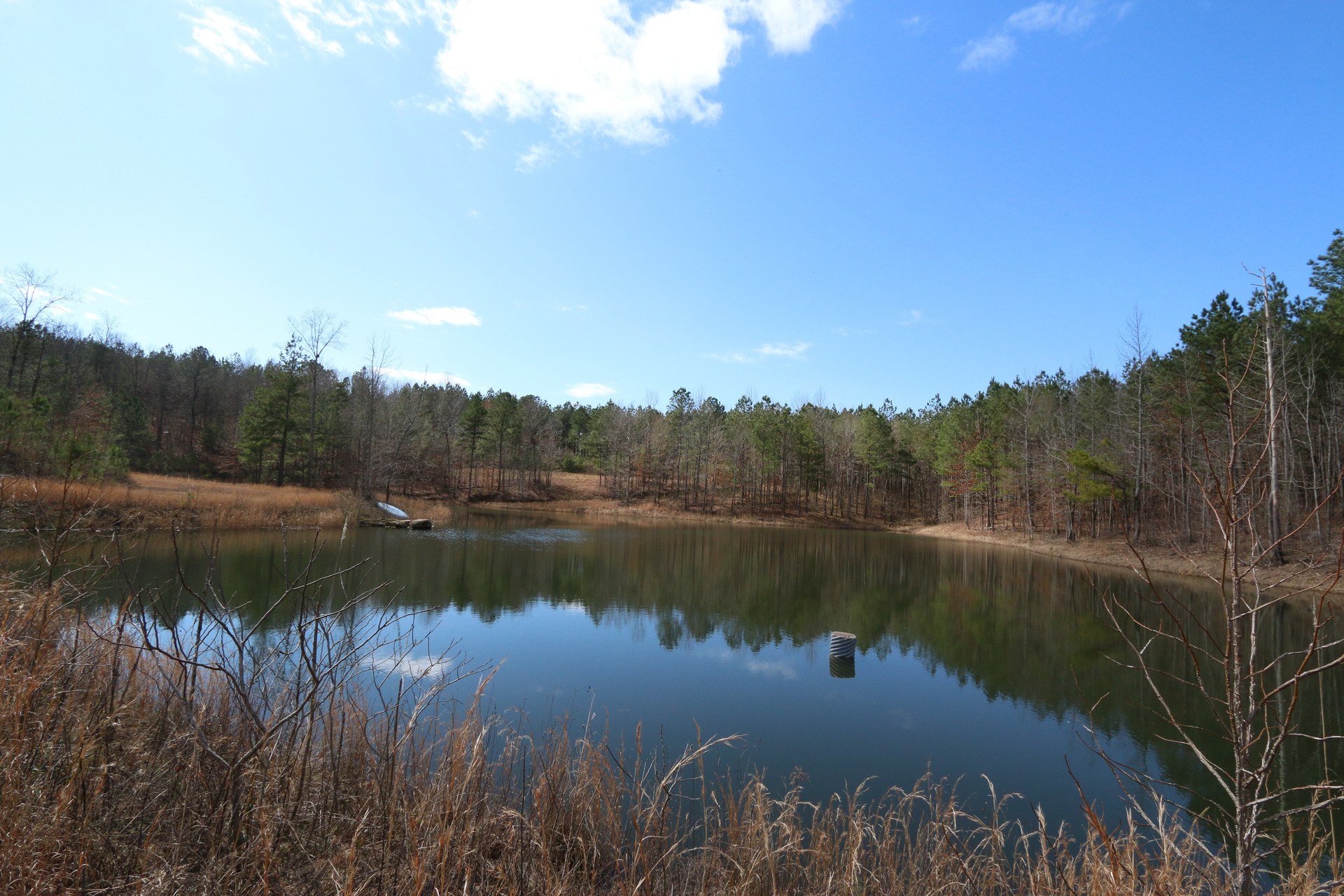 197 +/ Acres of Etowah County Land for Sale Alabama Land Agent