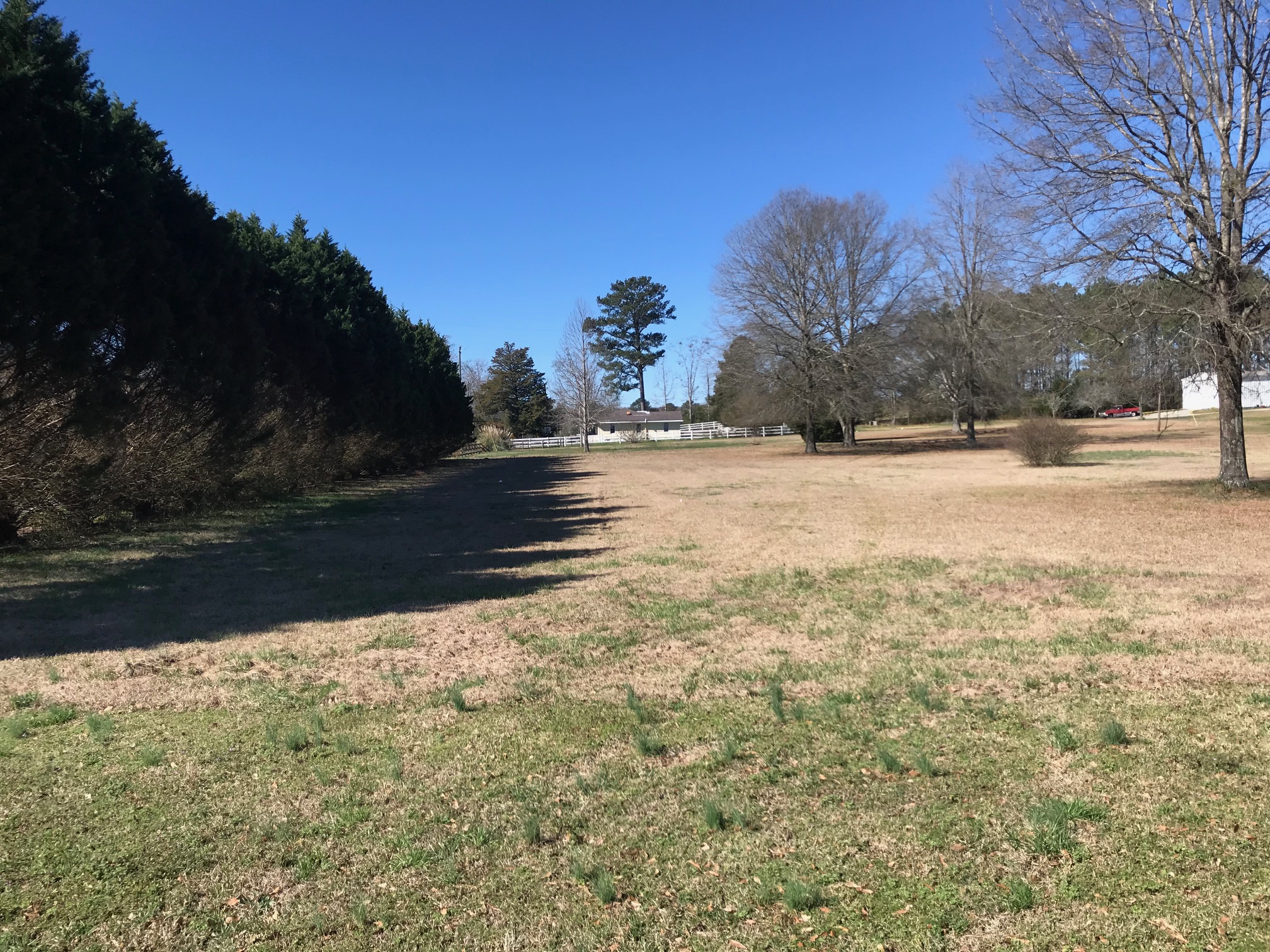 Level Half Acre Lot for Sale - Land for Sale in Odenville - Alabama ...