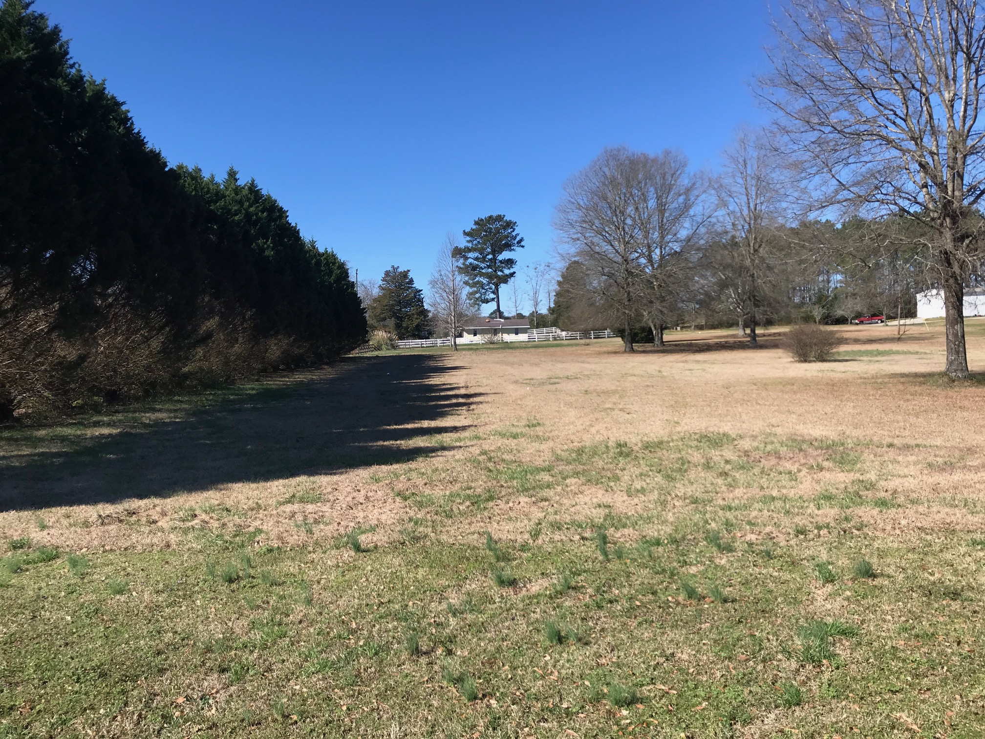 Level Half Acre Lot For Sale Land For Sale In Odenville Alabama 