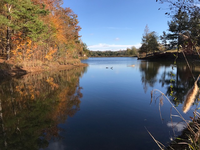 homes for sale in lake view al 35111