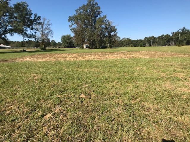 Pasture Land For Sale In Alabama