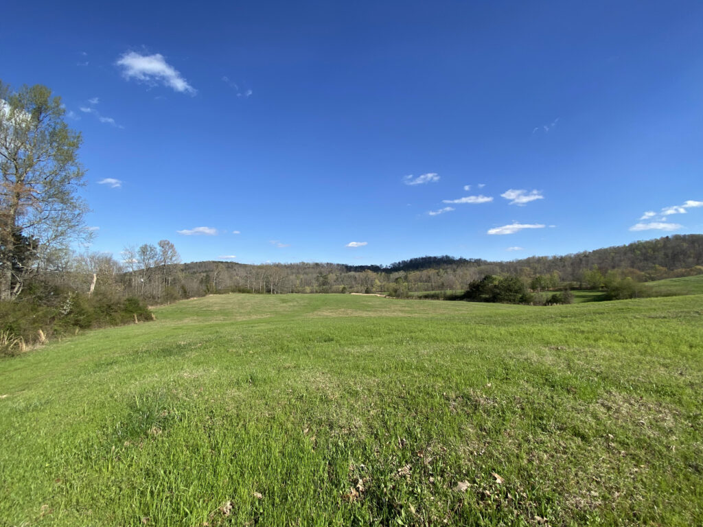 Buy, Sell or Develop in Central Alabama - Land for Sale - Alabama Land ...