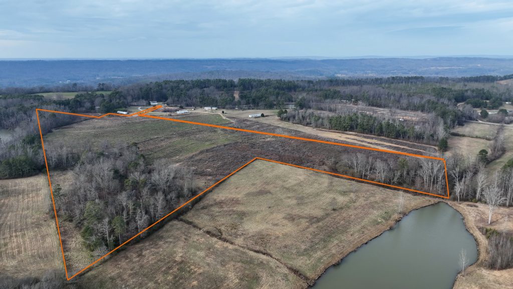 26 Acres Land For Sale - Chandler Mountain Steele Alabama